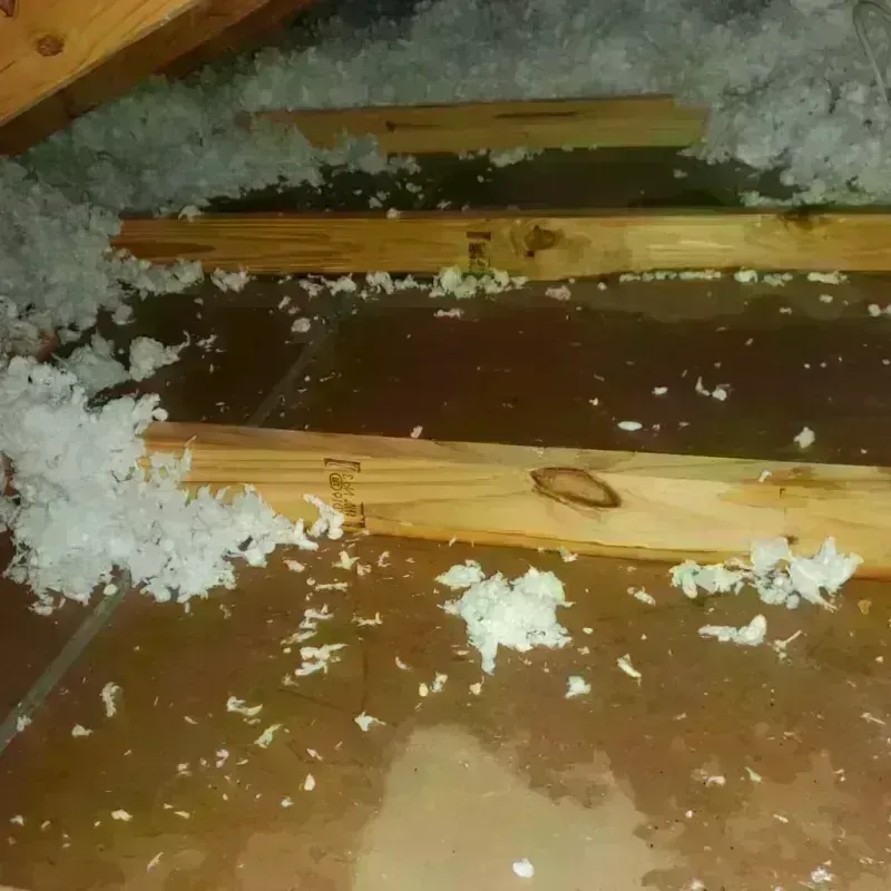 Attic Water Damage in Dakota County, NE