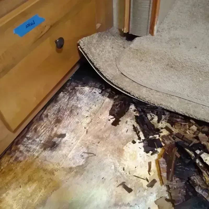 Wood Floor Water Damage in Dakota County, NE